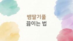 뱀딸기풀 끓이는 법, 작년보다 더 많이 찾는 이유와 전문가가 알려주는 완벽한 레시피