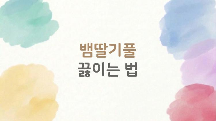 뱀딸기풀 끓이는 법, 작년보다 더 많이 찾는 이유와 전문가가 알려주는 완벽한 레시피