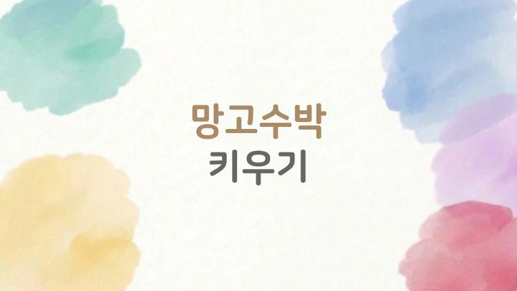 망고수박 키우기