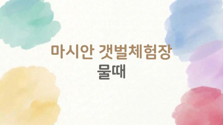 마시안 갯벌체험장 물때