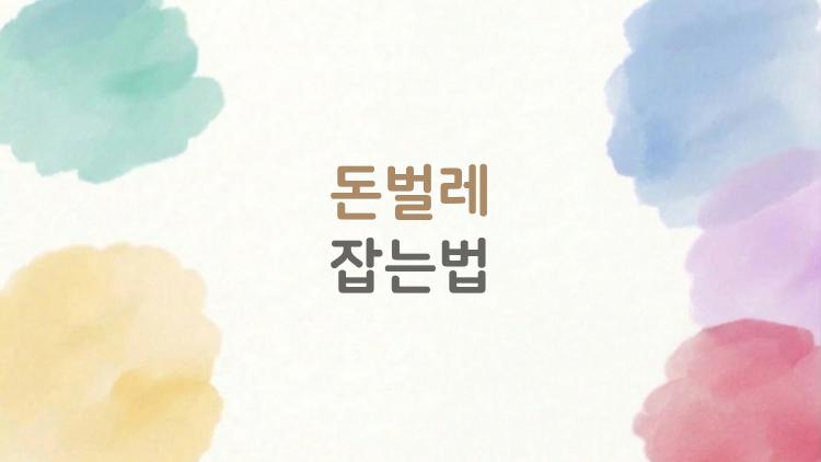 돈벌레 잡는법, 한 마리 봤는데 무리였다니, 집 지키는 3가지 습관