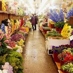 남대문 꽃시장 주차, 무료로 3시간 뽕 뽑는 꿀팁 대공개