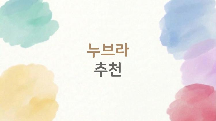 누브라 추천, 실패 없는 2026년 인생템 찾는 법