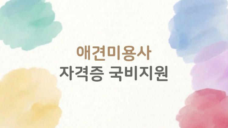 애견미용사 자격증 국비지원, 50만원으로 꿈 이룬 진짜 후기