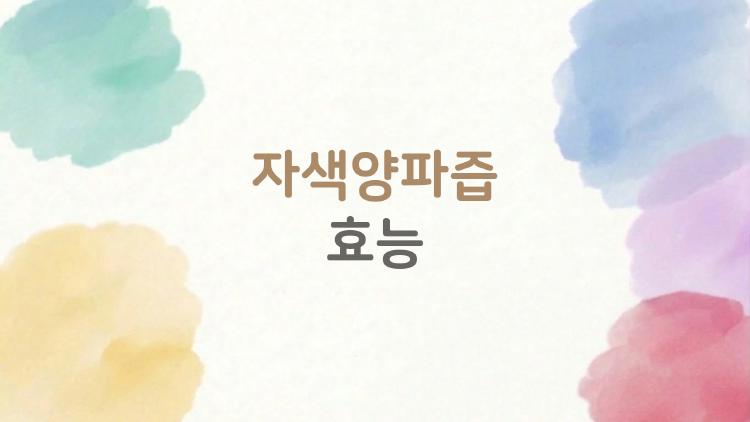 자색양파즙효능