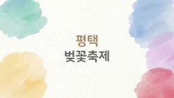 평택 벚꽃축제, 2026 만개 타이밍 놓치면 후회?