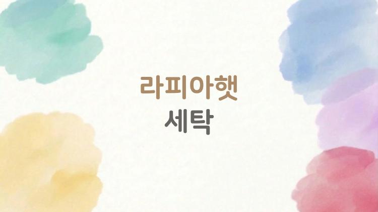 라피아햇 세탁