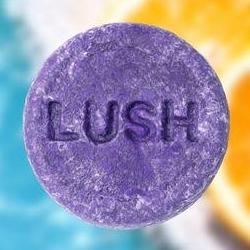 러쉬 샴푸바 후기, 80번 쓰고 재구매 각? 진짜 리얼 사용감