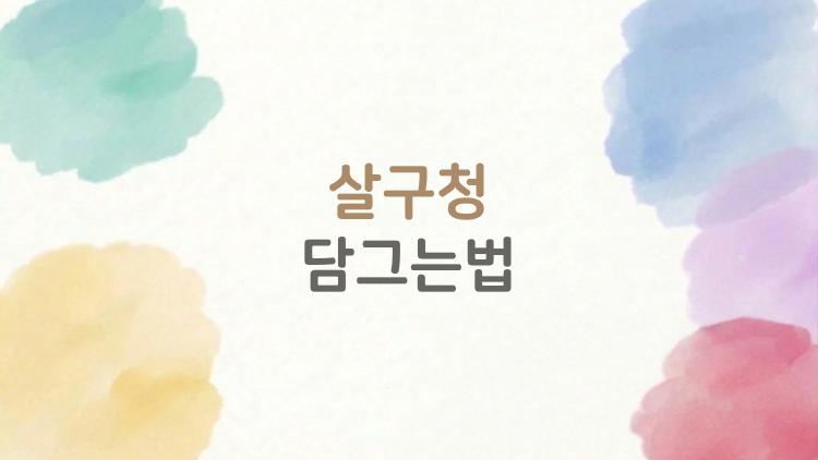 살구청 담그는법, 초보도 실패 ZERO 레시피