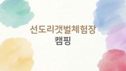 선도리갯벌체험장 캠핑, 초보도 후회없는 갯벌 체험 꿀팁 대방출