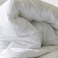 이불 버리는 방법 서울, 과태료 폭탄 피하는 2026 꿀팁 대공개