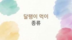 달팽이 먹이 종류 이거만 알면 초보 탈출, 2026 핫템 공개