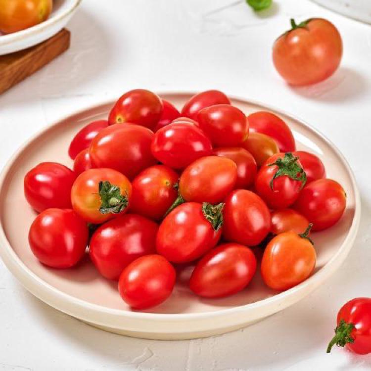 스테비아 토마토 혈당, 정말 스파이크 안 오르나? 내 경험 공개