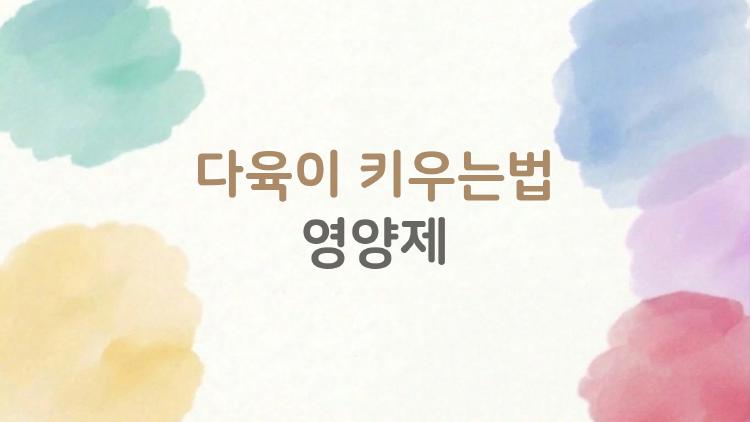 다육이 키우는법 영양제