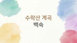 수락산 계곡 백숙, 아직도 예약 없이 그냥 가시나요?