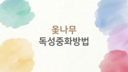 옻나무 독성중화방법, 옻 올랐을 때 진짜 살리는 법